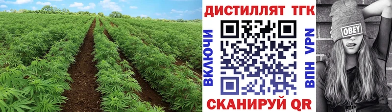 даркнет сайт  Оха  ТГК гашишное масло 